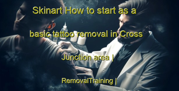 Skinart How to start as a basic tattoo removal in Cross Junction area | RemovalTraining | RemovalClasses | SkinartTraining-United States